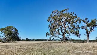 Rural / Farming commercial property for sale at Allotment 39 Paynes Lane Digby VIC 3309 Rural / Farming commercial property for sale at Allotment 39 Paynes Lane Digby VIC 3309