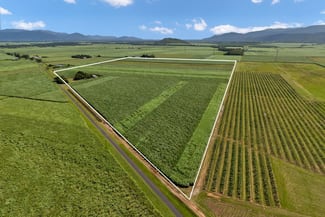 Rural / Farming commercial property sold at 229 Russell Road Gordonvale QLD 4865