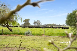 Rural / Farming commercial property sold at Mingbool Road Mingbool SA 5291