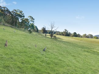 Rural / Farming commercial property for sale at 111 Magpie Hollow Road Lithgow NSW 2790