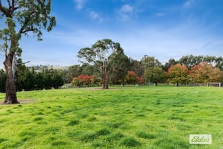 Rural / Farming commercial property for sale at 245 Martins Road Nulla Vale VIC 3435 Rural / Farming commercial property for sale at 245 Martins Road Nulla Vale VIC 3435