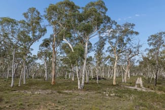 Rural / Farming commercial property sold at 328 Wolgon Rd Windellama NSW 2580