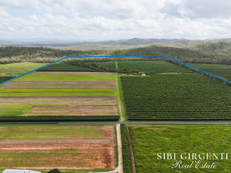 Rural / Farming commercial property for sale at 262/ Gilmore Road Mareeba QLD 4880 Rural / Farming commercial property for sale at 262/ Gilmore Road Mareeba QLD 4880