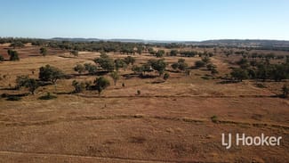 Rural / Farming commercial property sold at Gwydir Highway Inverell NSW 2360