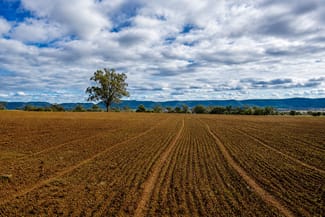 Rural / Farming commercial property for sale at 823 Eulourie Road Bingara NSW 2404 Rural / Farming commercial property for sale at 823 Eulourie Road Bingara NSW 2404