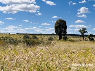 Rural / Farming commercial property sold at 640 Carrington Road Roma QLD 4455