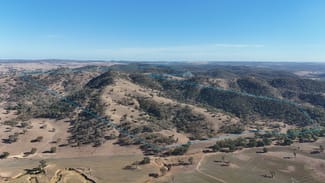 Rural / Farming commercial property for sale at Gulgong NSW 2852 Rural / Farming commercial property for sale at Gulgong NSW 2852