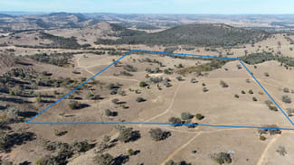 Rural / Farming commercial property for sale at Gulgong NSW 2852