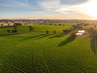 Rural / Farming commercial property sold at 3376 Holbrook Road Mangoplah NSW 2652 Rural / Farming commercial property sold at 3376 Holbrook Road Mangoplah NSW 2652