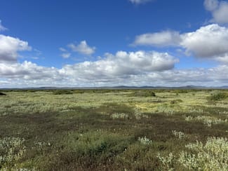 Rural / Farming commercial property for sale at Lot 118C Johnburgh Road Orroroo SA 5431 Rural / Farming commercial property for sale at Lot 118C Johnburgh Road Orroroo SA 5431
