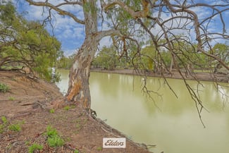 Rural / Farming commercial property for sale at 3 Low Darling Road Wentworth NSW 2648