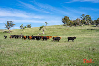 Rural / Farming commercial property sold at 170 Dog Rocks Road Black Springs NSW 2787