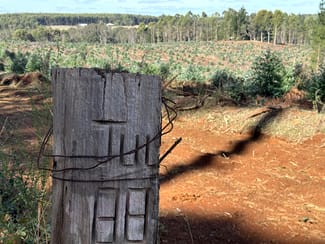 Rural / Farming commercial property sold at Lot 1 Kim Road (Dingup) Manjimup WA 6258 Rural / Farming commercial property sold at Lot 1 Kim Road (Dingup) Manjimup WA 6258