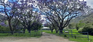 Rural / Farming commercial property for sale at Smiths Creek Station (Block 1) Kempsey NSW 2440 Rural / Farming commercial property for sale at Smiths Creek Station (Block 1) Kempsey NSW 2440