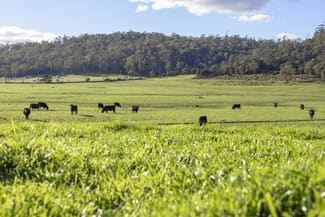Rural / Farming commercial property sold at 290 Batman Highway Sidmouth TAS 7270