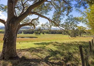 Rural / Farming commercial property sold at 201 Coolangatta Road Far Meadow NSW 2535 Rural / Farming commercial property sold at 201 Coolangatta Road Far Meadow NSW 2535