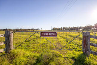Rural / Farming commercial property for sale at 3949 Clarence Town Road Dungog NSW 2420 Rural / Farming commercial property for sale at 3949 Clarence Town Road Dungog NSW 2420