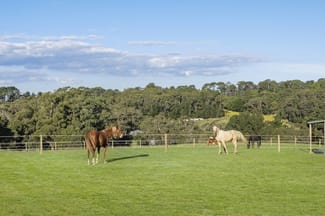 Rural / Farming commercial property for sale at 227 Main Creek Road Main Ridge VIC 3928 Rural / Farming commercial property for sale at 227 Main Creek Road Main Ridge VIC 3928