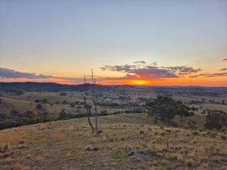 Rural / Farming commercial property sold at 1887 Queens Pinch Road Mudgee NSW 2850 Rural / Farming commercial property sold at 1887 Queens Pinch Road Mudgee NSW 2850