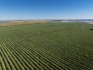Rural / Farming commercial property for sale at Cullulleraine VIC 3496