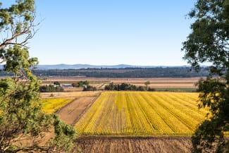 Rural / Farming commercial property sold at Hillside Road Allora QLD 4362 Rural / Farming commercial property sold at Hillside Road Allora QLD 4362
