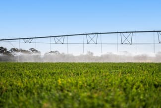 Rural / Farming commercial property for sale at 79 Merivale Street Allora QLD 4362 Rural / Farming commercial property for sale at 79 Merivale Street Allora QLD 4362