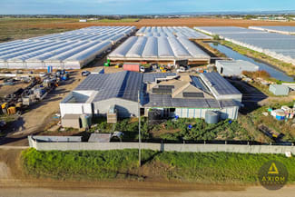 Rural / Farming commercial property for sale at 384 Tozer Road Buckland Park SA 5120
