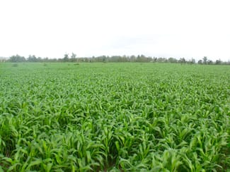 Rural / Farming commercial property for sale at 431 Knights Road Kyogle NSW 2474 Rural / Farming commercial property for sale at 431 Knights Road Kyogle NSW 2474