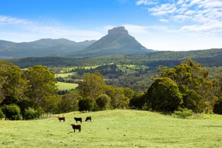 Rural / Farming commercial property for sale at 96 Coxs Road Sherwood NSW 2474 Rural / Farming commercial property for sale at 96 Coxs Road Sherwood NSW 2474