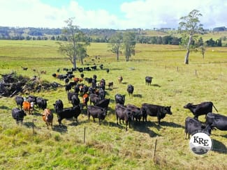 Rural / Farming commercial property for sale at 603 Knights Road Kyogle NSW 2474