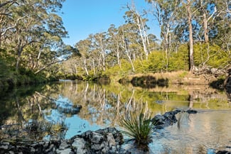 Rural / Farming commercial property sold at 535 Northangera Road Braidwood NSW 2622