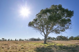 Rural / Farming commercial property sold at 175 Jinglemoney Road Braidwood NSW 2622 Rural / Farming commercial property sold at 175 Jinglemoney Road Braidwood NSW 2622