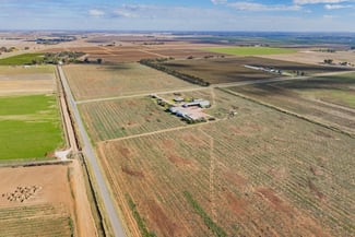 Rural / Farming commercial property for sale at 385 Toorak Road Yanco NSW 2703