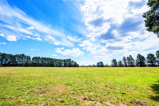 Rural / Farming commercial property for sale at 1149 Charleys Forest Charleys Forest NSW 2622 Rural / Farming commercial property for sale at 1149 Charleys Forest Charleys Forest NSW 2622
