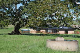 Rural / Farming commercial property sold at 49 Hicks Road Spring Grove NSW 2470