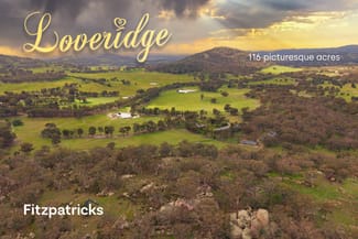 Rural / Farming commercial property for sale at 6361 Holbrook Road Gelston Park NSW 2650