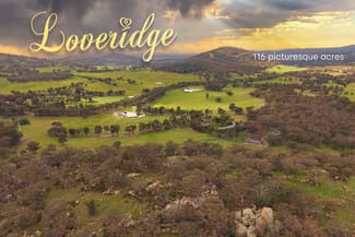 Rural / Farming commercial property for sale at 6361 Holbrook Road Gelston Park NSW 2650 Rural / Farming commercial property for sale at 6361 Holbrook Road Gelston Park NSW 2650