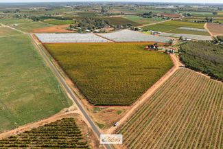Rural / Farming commercial property for sale at Lot/2 Trioda Street Red Cliffs VIC 3496 Rural / Farming commercial property for sale at Lot/2 Trioda Street Red Cliffs VIC 3496