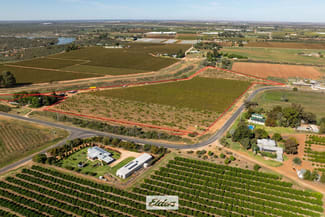 Rural / Farming commercial property for sale at 51B Pumps Road Red Cliffs VIC 3496 Rural / Farming commercial property for sale at 51B Pumps Road Red Cliffs VIC 3496
