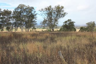 Rural / Farming commercial property for sale at 9372 Mt Lindesay Road Tamrookum QLD 4285 Rural / Farming commercial property for sale at 9372 Mt Lindesay Road Tamrookum QLD 4285