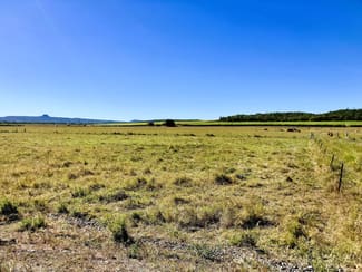 Rural / Farming commercial property for sale at Cone Creek Road Koumala QLD 4738 Rural / Farming commercial property for sale at Cone Creek Road Koumala QLD 4738