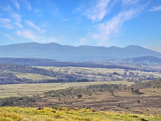 Rural / Farming commercial property sold at 14 Harts Road Braidwood NSW 2622