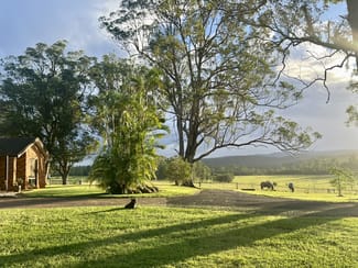 Rural / Farming commercial property for sale at Casino NSW 2470 Rural / Farming commercial property for sale at Casino NSW 2470