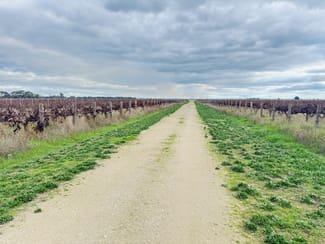 Rural / Farming commercial property for sale at Lot 2/322 Giles Rd Coonawarra SA 5263 Rural / Farming commercial property for sale at Lot 2/322 Giles Rd Coonawarra SA 5263