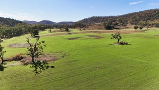 Rural / Farming commercial property for sale at Gulgong NSW 2852 Rural / Farming commercial property for sale at Gulgong NSW 2852