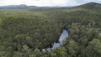 Rural / Farming commercial property for sale at 127 Firth Heinz Road Pillar Valley NSW 2462 Rural / Farming commercial property for sale at 127 Firth Heinz Road Pillar Valley NSW 2462