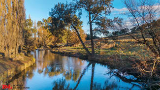 Rural / Farming commercial property for sale at 392 Mutton Falls Road Tarana NSW 2787 Rural / Farming commercial property for sale at 392 Mutton Falls Road Tarana NSW 2787