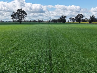 Rural / Farming commercial property for sale at 1 Humeden Road Collendina NSW 2646 Rural / Farming commercial property for sale at 1 Humeden Road Collendina NSW 2646