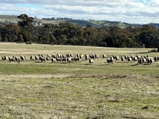 Rural / Farming commercial property for sale at 83 Yass Valley Way Yass NSW 2582