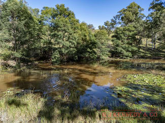 Rural / Farming commercial property for sale at 190 Lemans Road Yarranbella NSW 2447